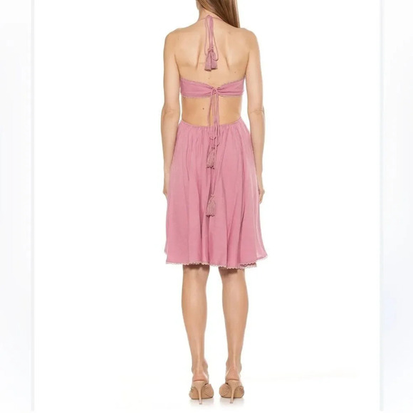 NEW Alexia Admor ALI HALTER DRESS - Picture 5 of 10